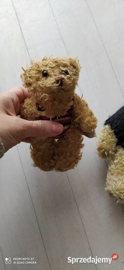 miś zabawka pluszowa pluszak maskotka Poznań sprzedam