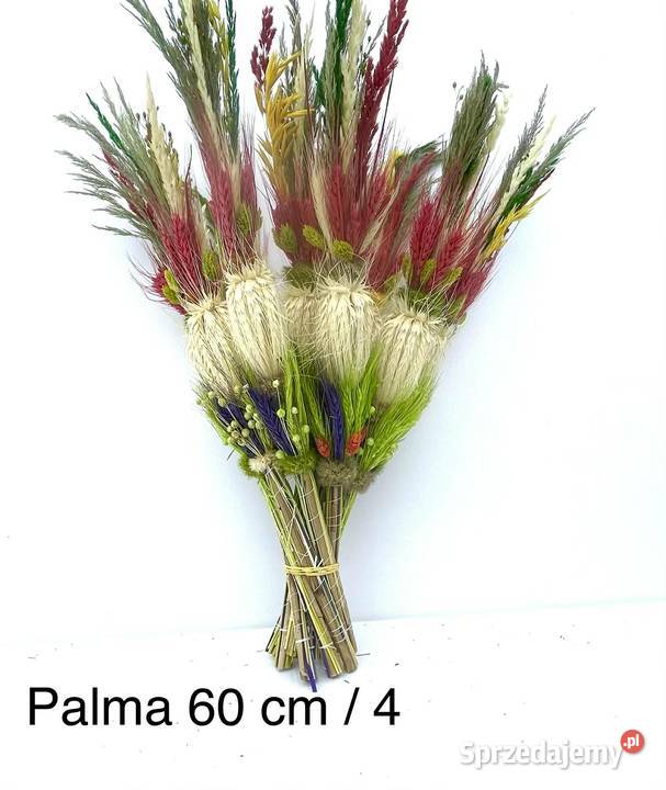 Palmy Wielkanocne Palma 60 Palma 70 Palma kogut Warszawa