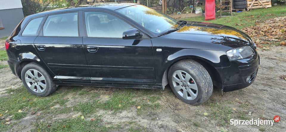 Audi A3 8P 4/5 lubelskie Pniówno
