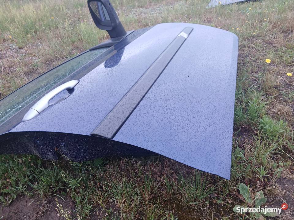 Drzwi Prawy przód kompletne Renault Clio III EU Części samochodowe małopolskie Radłów