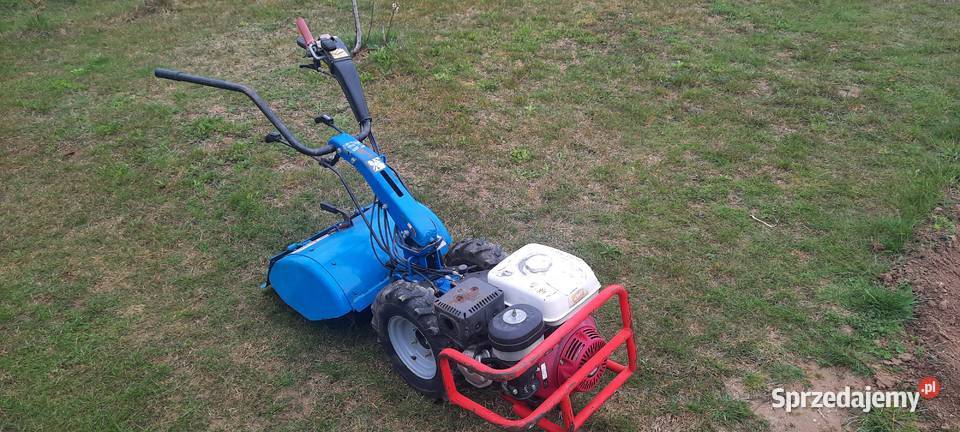 Glebogryzarka spalinowa dzik BCS Pozostałe Miechów