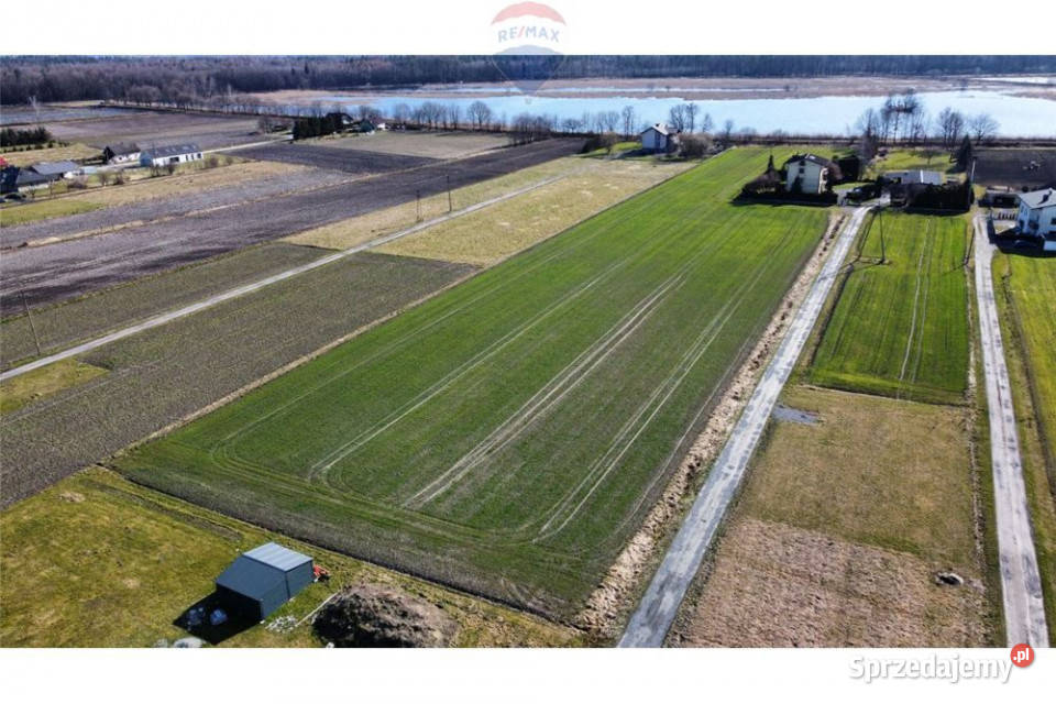 Działka budowlana w Zaborzu Zaborze sprzedam