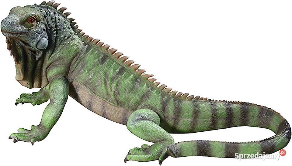 Iguana figura ogrodowa 5624 realistyczny żywica Rzeźby i figury