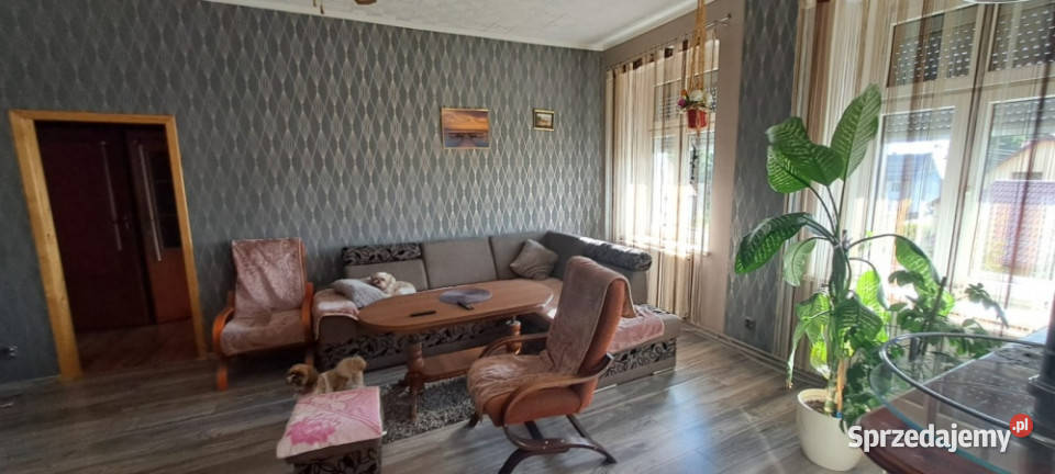 Sprzedam mieszkanie Krzydlina Mała 7239 m2