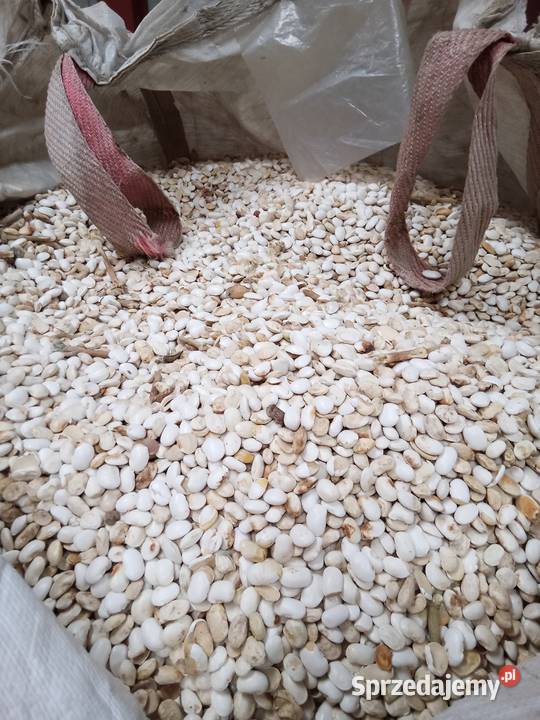 Fasola pellet pasza lubelskie Krasnystaw