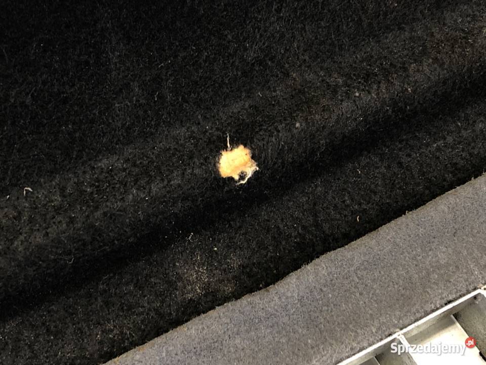 PÓŁKA TYŁ SEAT LEON I Hatchback 9906 OSŁONA