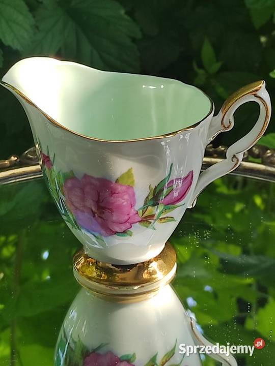 Piękne rzadkie zabytkowe róże Royal Standard sprzedam