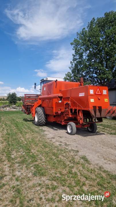 Bizon z056 89 Nasiechowice sprzedam