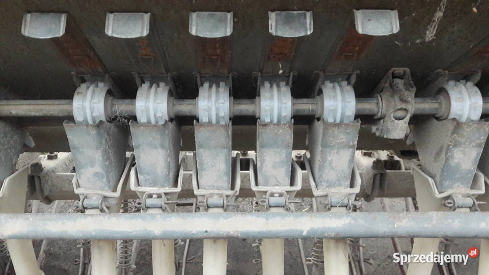 Siewnik Poznaniak Stary Kadłub