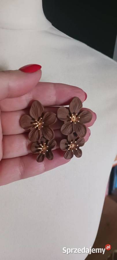 Kolczyki brązowe kujawsko-pomorskie Ostrowąs