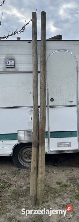 Kołki drewniane sadownicze Szpilki i kołki Wilga