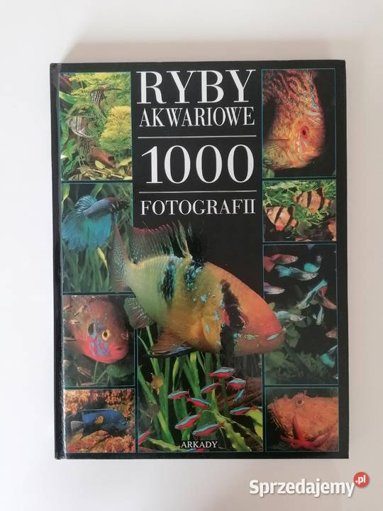 książka Ryby Akwariowe 1000 Fotografii Poradniki, albumy i reportaże dolnośląskie Wrocław