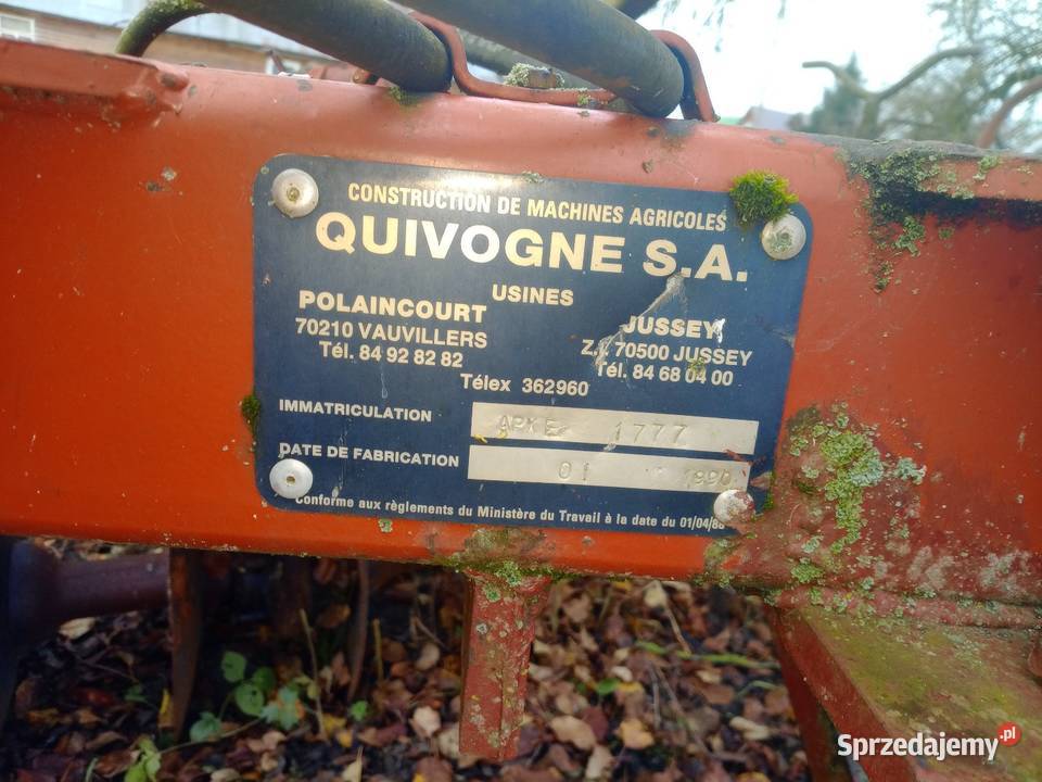 Talerzówa nieuszkodzony Lipsk