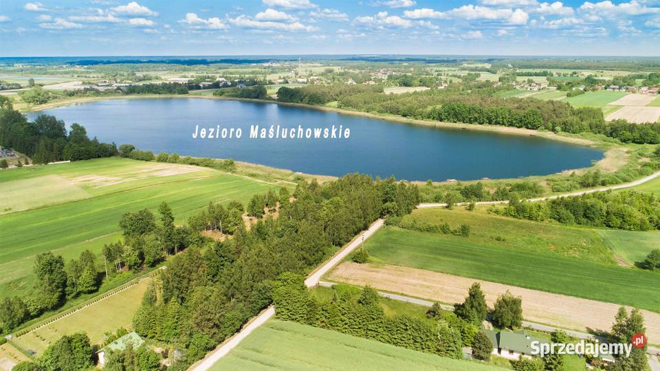 Działki plaży Jezioro Maśluchowskie Sprzedaż Nowy Uścimów