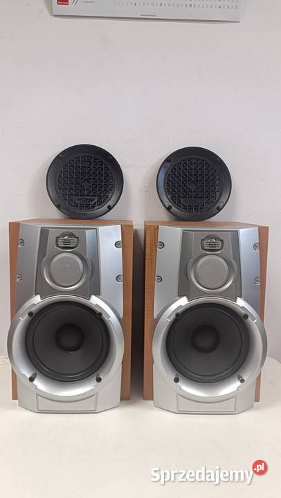 SAMSUNG L65E Kolumny audio z kablami i wielkopolskie Poznań