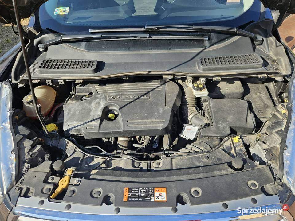 Ford KUGA 2017 diesel Zwierzyniec Mały