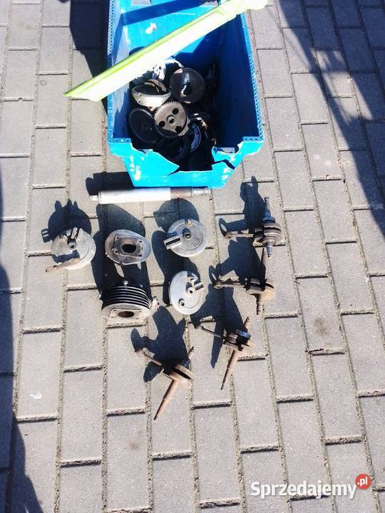 Komar nieuszkodzony Komar Ślesin