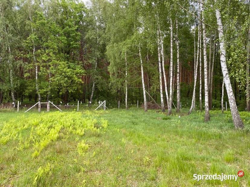 Piękna działka z częścią zalesioną Ogrodzona Samogoszcz sprzedam