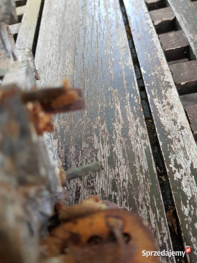 21 trzpieńOryginał podstawa zapłonu WSK 125 zachodniopomorskie
