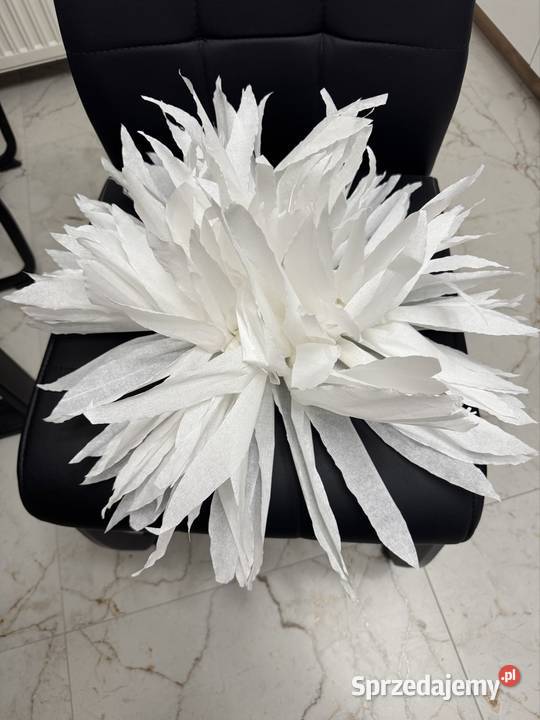 Wykonam kwiaty z bibuły Lipnica Murowana