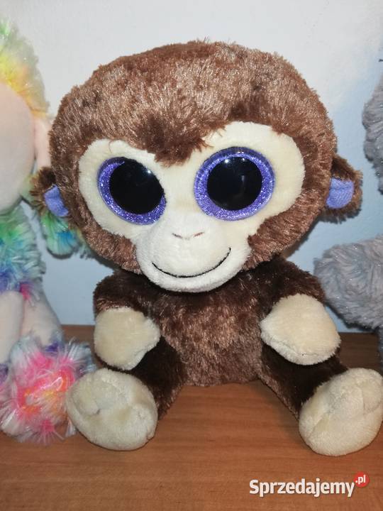 Ty Beanie Booszestaw 5 sztuk Stan idealny Warszawa