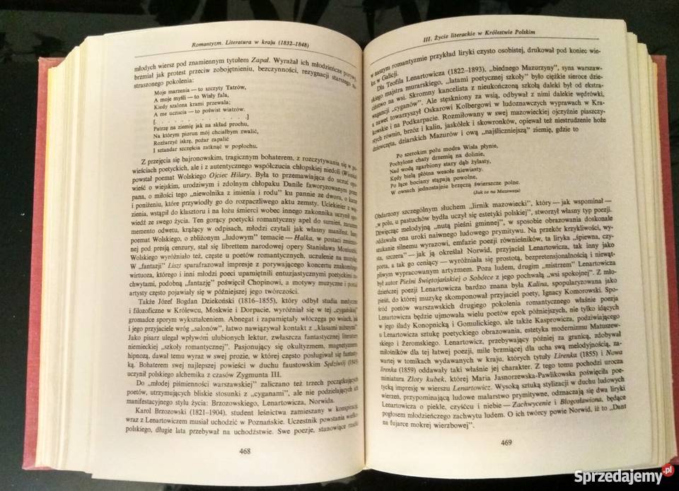 Literatura Polska sredniowiecza do pozytywizmu Warszawa