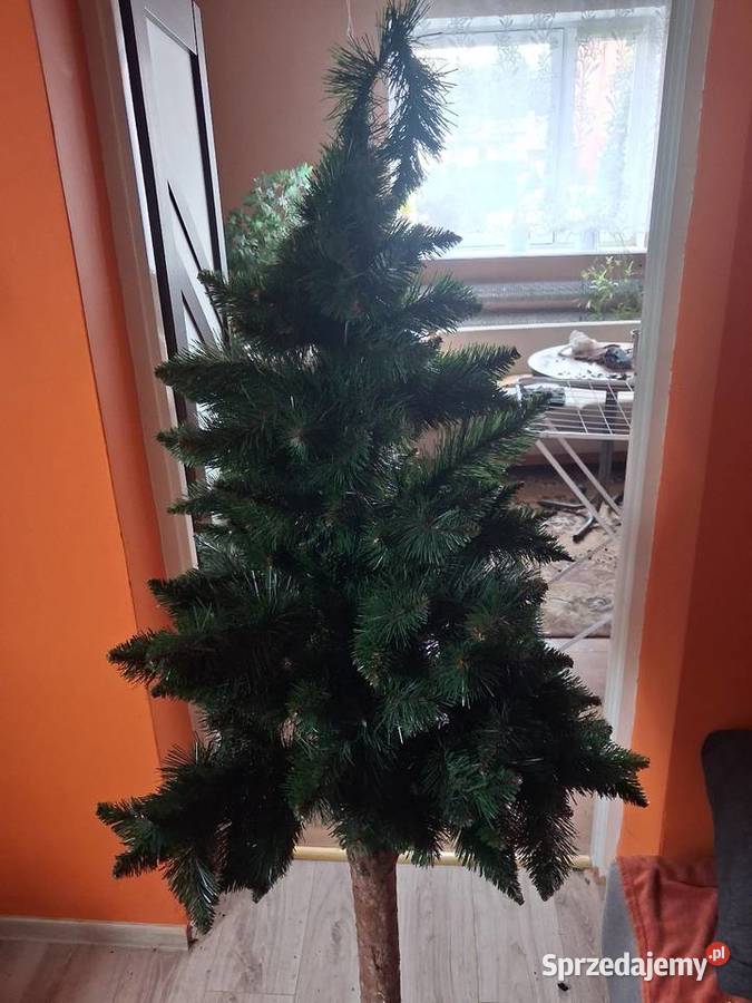 Choinka na pieńku Dąbrowa Górnicza