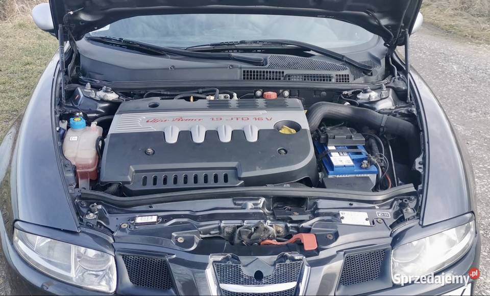 Alfa Romeo GT Sandomierz