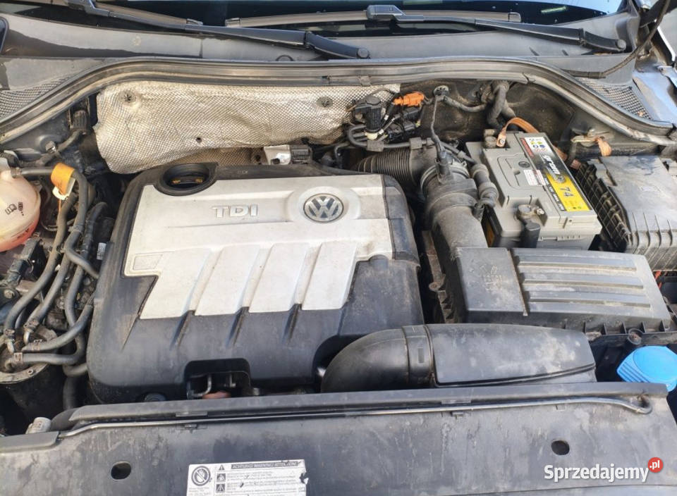 Volkswagen Tugiguan Tiguan Suwałki