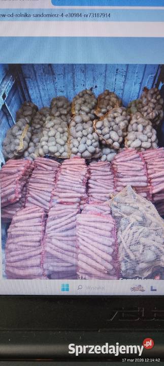 ZIEMNIAKI ROLNIKA LIPINKI małopolskie Gorlice