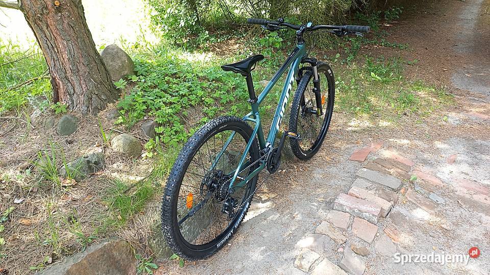 Alu Rower Górski Mtb Giant Talon 3 Tourney Sr Wołów