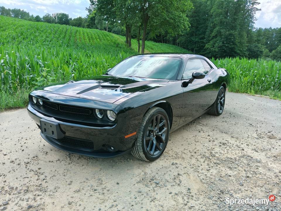 Dodge Challenger SXT PLUS 36 V6 BLACK TOP 2019r asystent parkowania Lublin