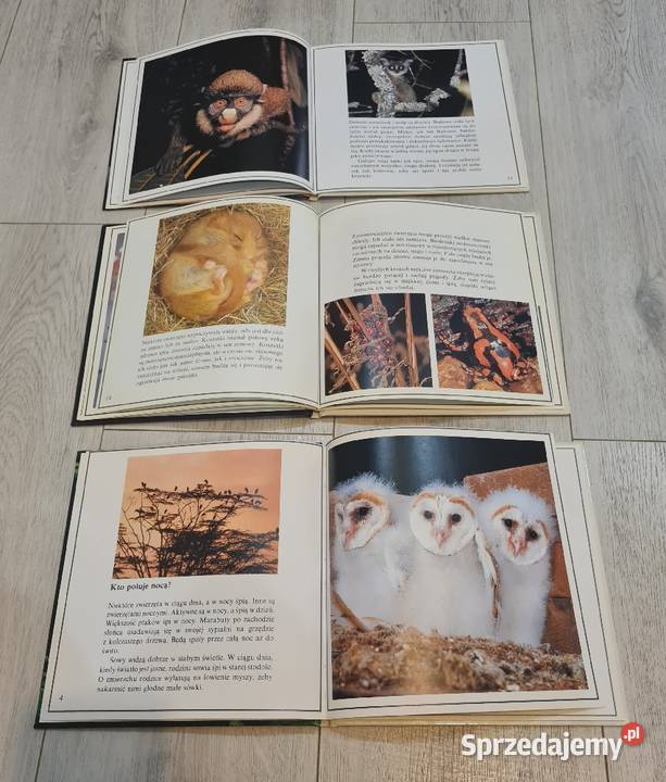 Książka zestaw Zwierzęta Łódź