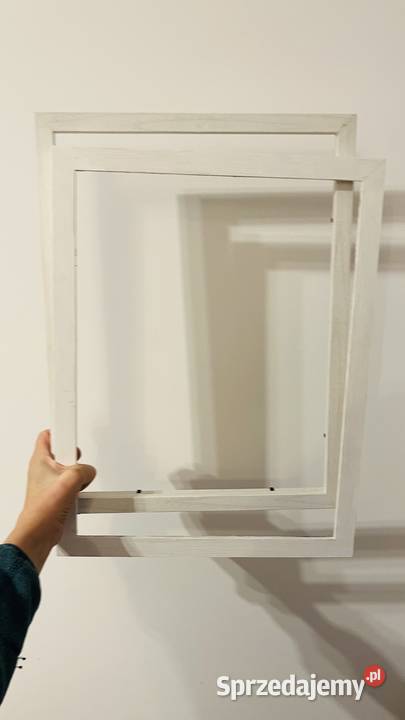 Mewa na krawędzi morskiego wiatru obraz olejny Zielona Góra