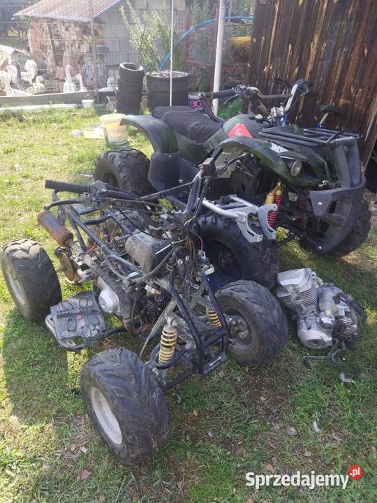 Quad 110 i 200 Bashan Dzikowiec