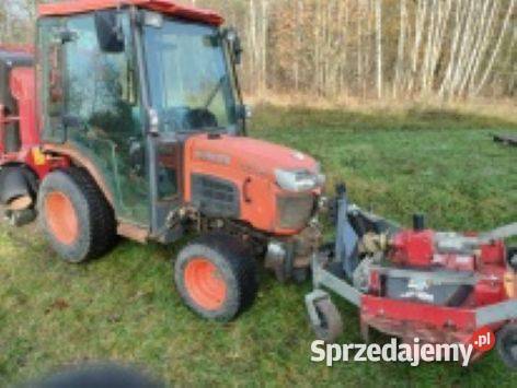 Pielęgnacja drzew terenów zieleni wycinka