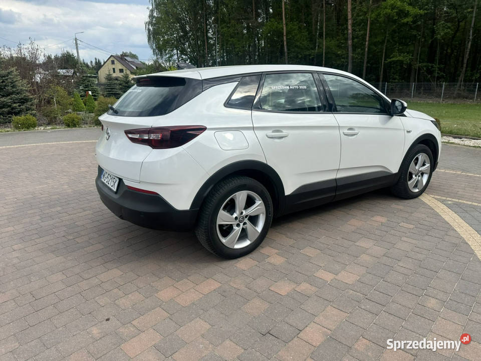 Opel Grandland X komputer pokładowy Lipówki
