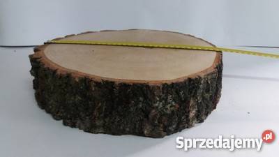 Duży Plastry drewna brzoza 33 gr8 na stolik odcienie brązowego Dekoracje i ozdoby śląskie Rybnik