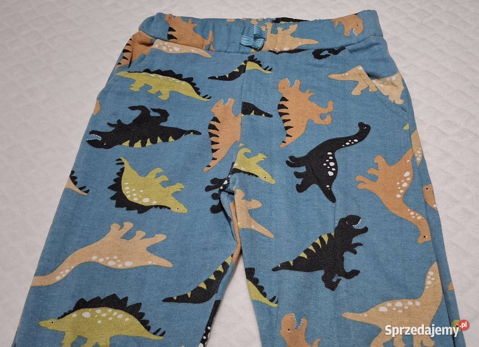 Spodnie dresowe chłopięce dinozaury Sinsay 134 Czeladź