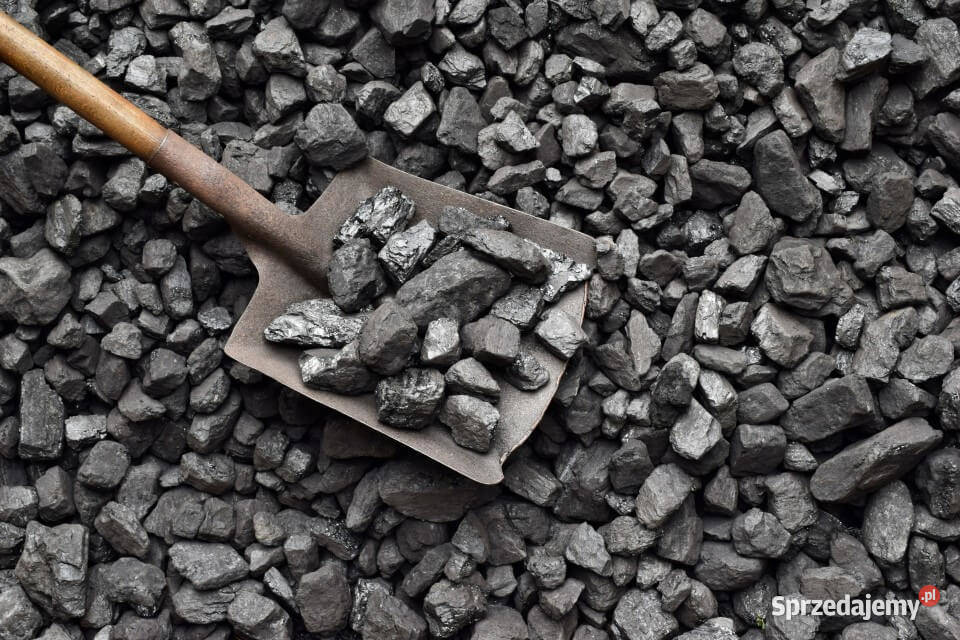 Polski węgiel orzech 3033 MJ Dzwonić godzinie 16 Opał Włoszczowa