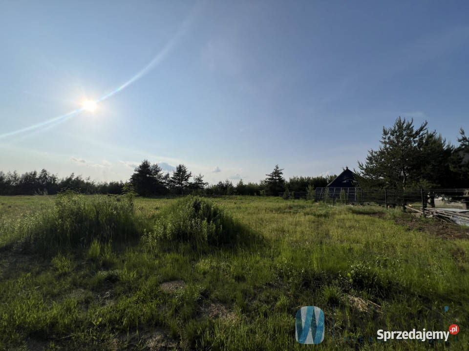 sprzedaży działki Sobienie Biskupie 1558m2 sprzedam