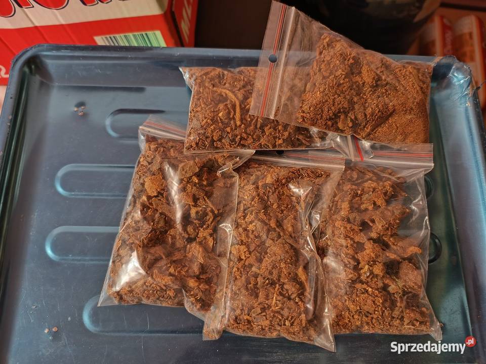 Propolis Kit Pszczeli 2024 Miód z własnej Lublin