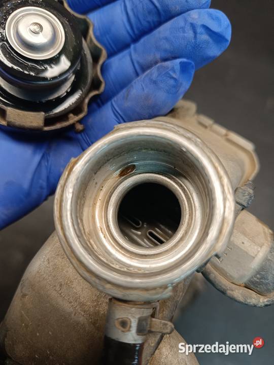 Chłodnica prawa wody cieszy korek części Suzuki Gołaczewy