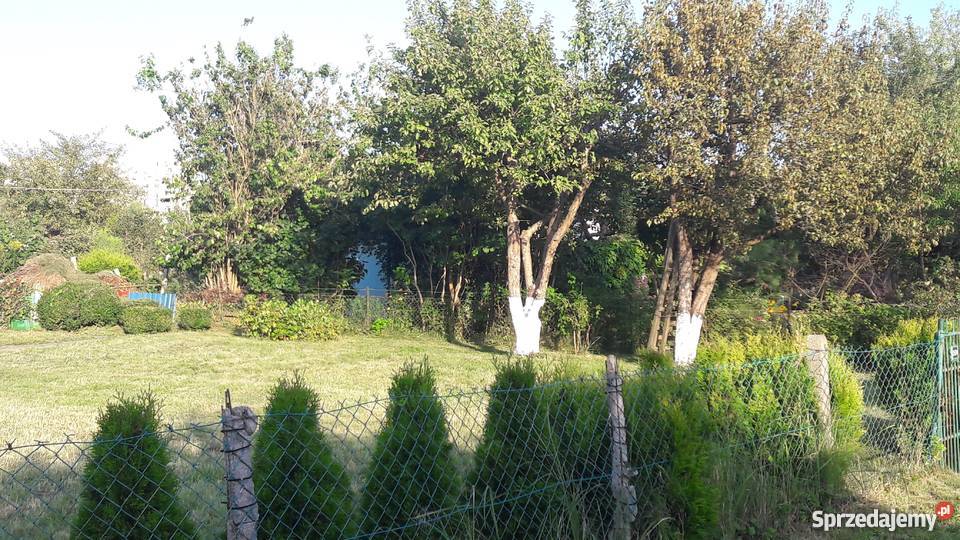 Działka rekreacyjna ROD Pogodny Grunty i działki Szczecin