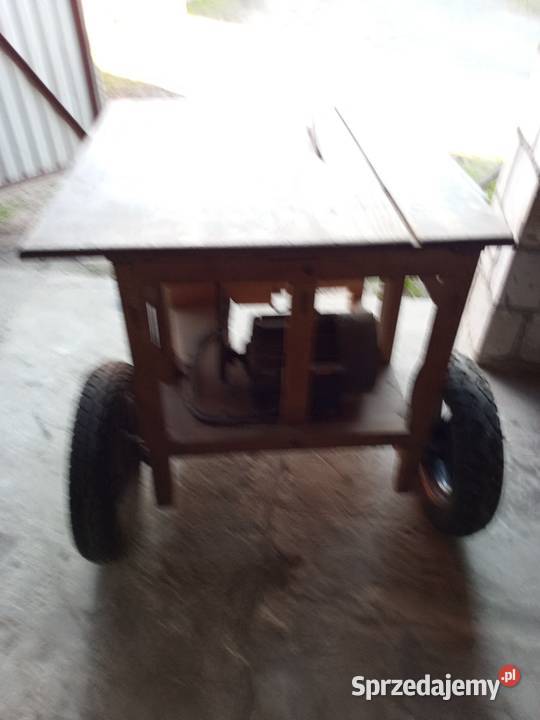 Cyrkularka krajzega Frampol