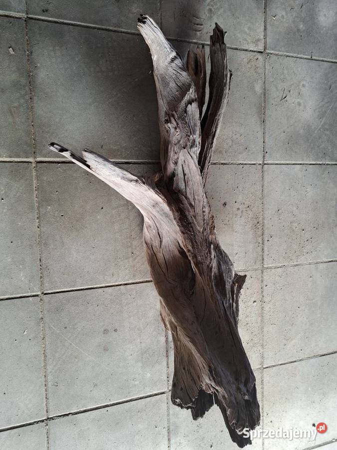 Korzeń korzenie do akwarium lubelskie Lublin