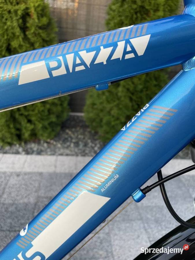 Pegasus Piazza 28 Rower Męski