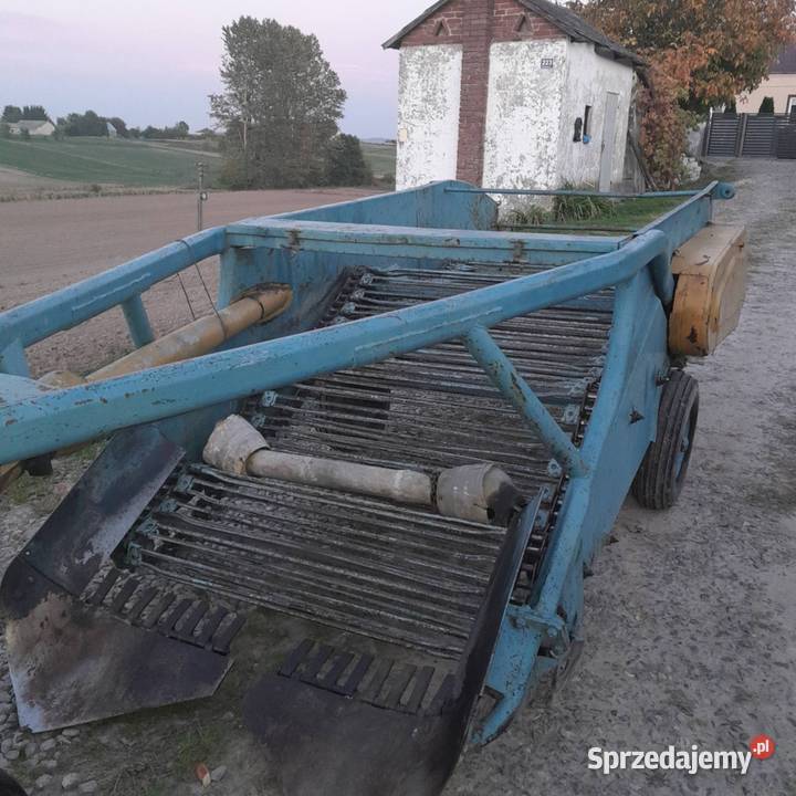 Kopaczka elewatorowa do ziemniaków Izbica