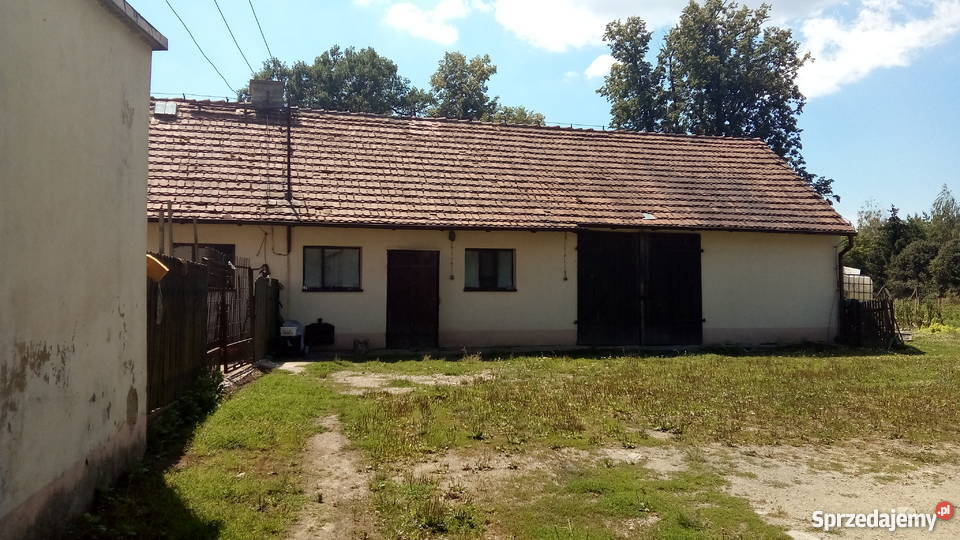 Mieszkanie w Dzierzkowie Dzierzków sprzedam