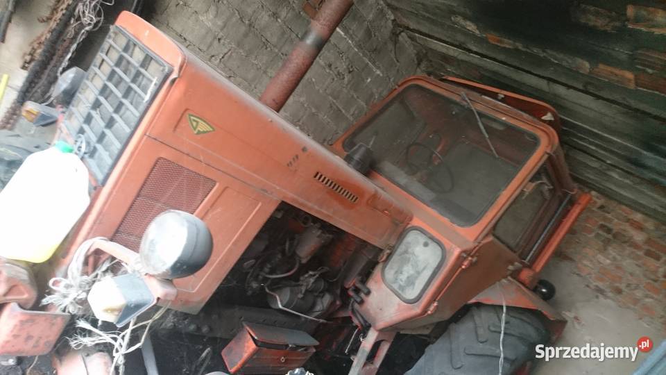 ciągnik mtz 82 MTZ wielkopolskie Kościan